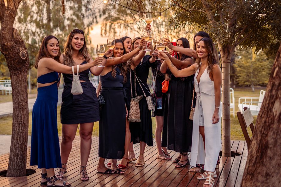 A joyful group of young women toasts with wine glasses outdoors, celebrating together.