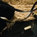 10 Designer Handbag Dupes That Look Real in 2026
