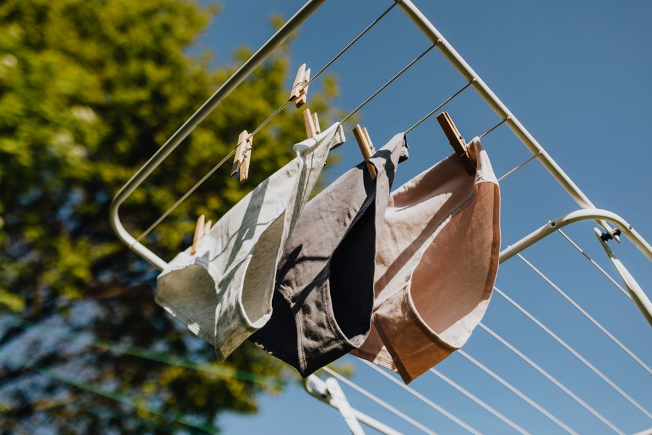 From below of different color wet underpants drying on metal collapsible clotheshorse against green branches and blue sky on sunny day