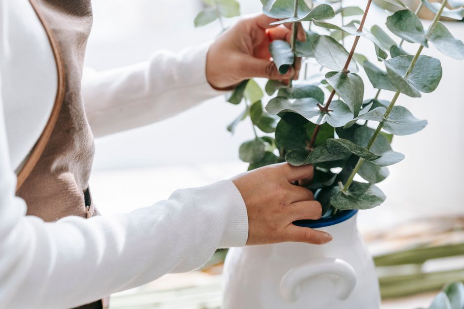 Side view of crop anonymous woman in apron touching green plant foliage on thin stems in vase