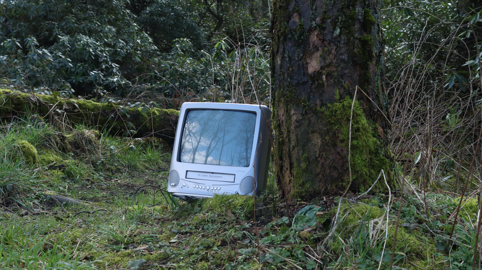 An old TV abandoned in a lush forest, showcasing nature reclaiming technology.