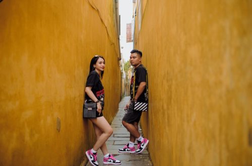Sportswear Brands Vietnam: Complete Guide to Urban Gardening