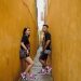 Sportswear Brands Vietnam: Complete Guide to Urban Gardening