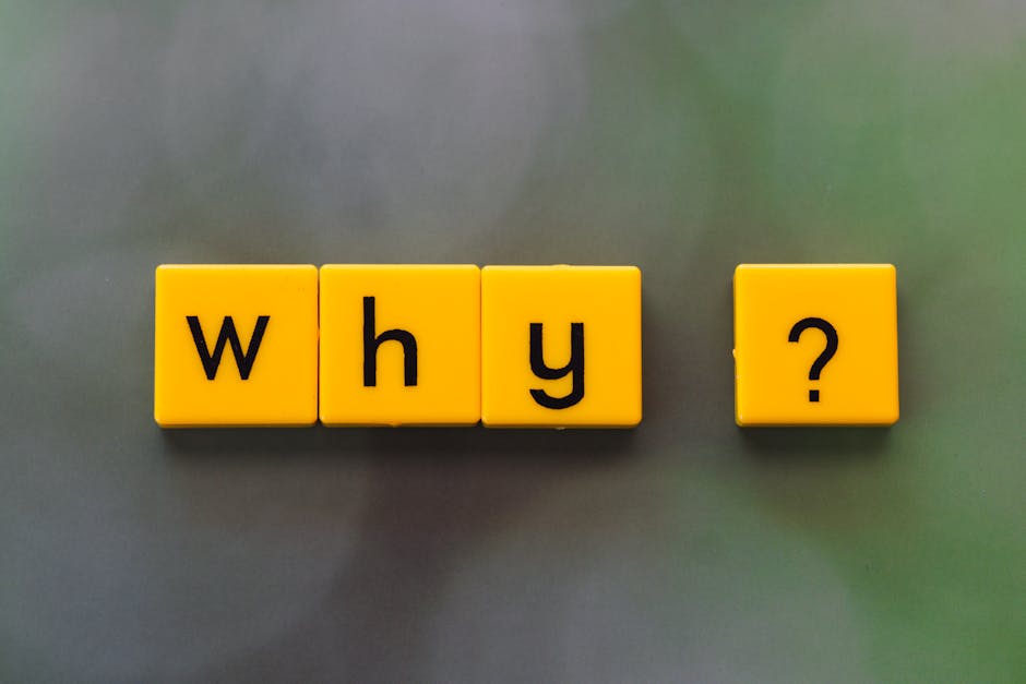 Yellow letter tiles spelling 'why?' create a thought-provoking scene on a green blurred background.