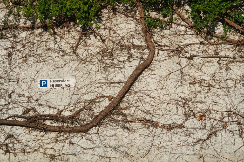 Dry vines on a textured wall with a reserved parking sign for HUBER AG.
